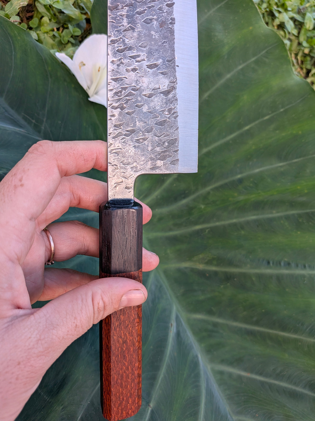Stainless Santoku - Leopard
