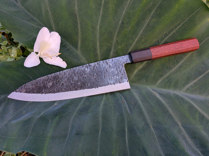 Stainless Gyuto - Leopard