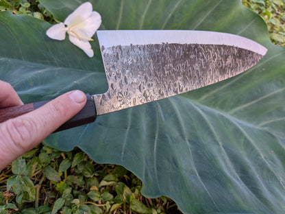 Stainless Gyuto - Leopard